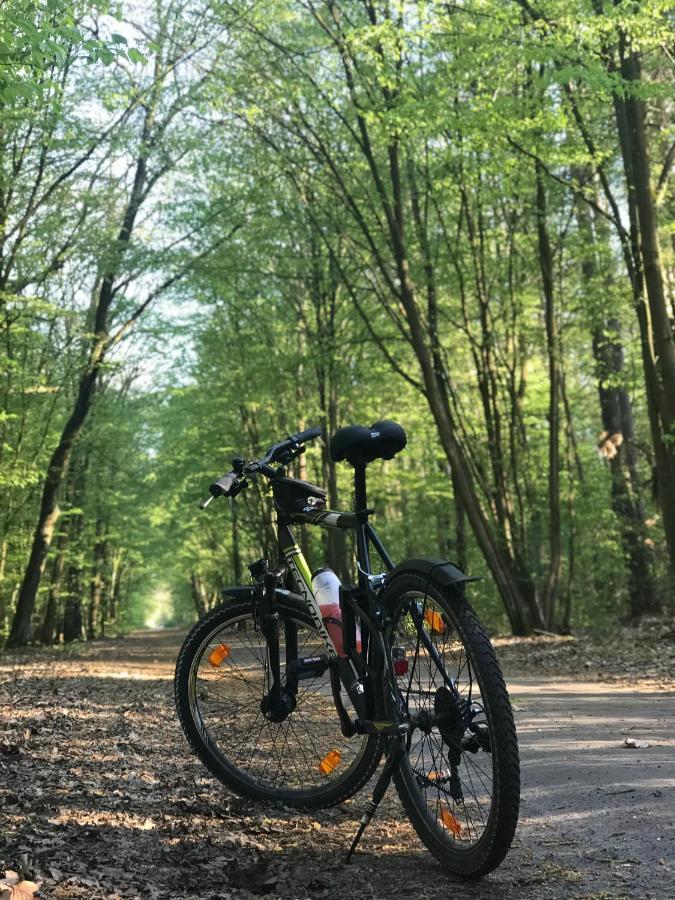 "Casa20200" 2 X Apartments Je 150Qm Fuer Business, Familien, Gruppen, Handwerker 15Min Von Berlin, Erdbeerhof, Outlet B5, 5Min Vom See Falkensee !! 2 Apartment Each 150Qm For Business , Families 15Min From Berlin!! Eksteriør bilde